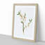 Almond Tree Flower by Giorgio Gallesio - Single Picture Frame Painting-55545169-55545163