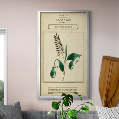 Linnaean Botany II - peinture sur toile encadrée