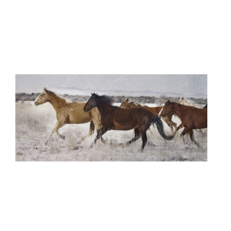 Mares On Promontory Print by Chris Dunker, Outdoor, 30" H x 66" W x 1.5" D