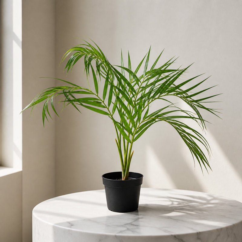50cm Faux Palm Plant in Pot Liner