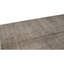 Area Rug in Gray