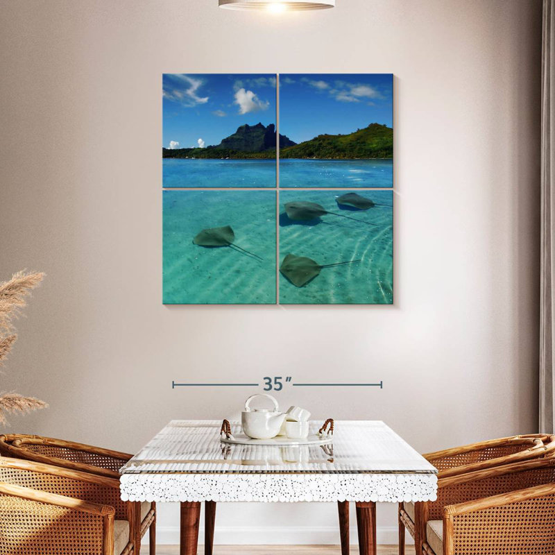 Brampt Bora Bora Stingrays, 38'' H x 38'' W