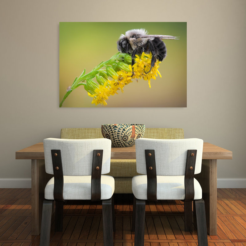 Abeille endormie, fleur jaune délicate et paisible, impression d'art mural nature, H 32 po x l 48 po