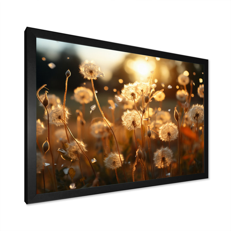 " Sunset Dandelion Field V ", 34" H x 44" W x 1.5" D, Black Picture Framed