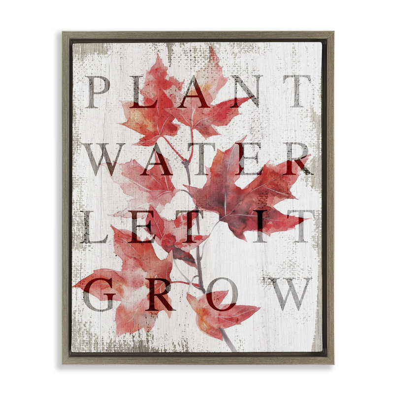Cadre flottant Plant Water Let It Grow, design par Lil 'Rue, Cadre flottant orme Montalcino, H 21 po x l 17 po