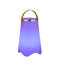Bordonaro Novelty Lamp