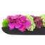 Orchid and  Arrangement-286518433-286518432