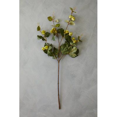 Fiori Hops Arrangement