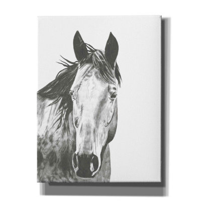 «Wildlife Snapshot Horse I» par Naomi McCavitt, art mural sur toile