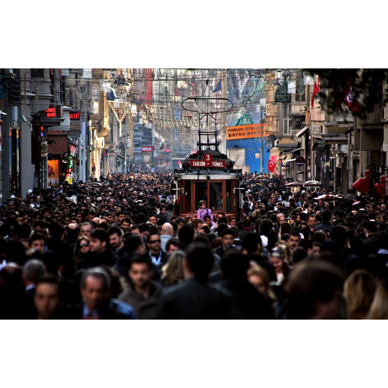Wrapped Canvas Print, 50.8 cm H x 76.2 cm W