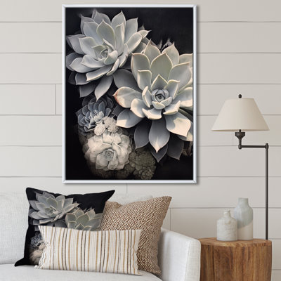 «Grey White Resilience Succulent», reproduction sur toile