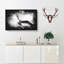 Osprey Bird - Wrapped Canvas-56648436
