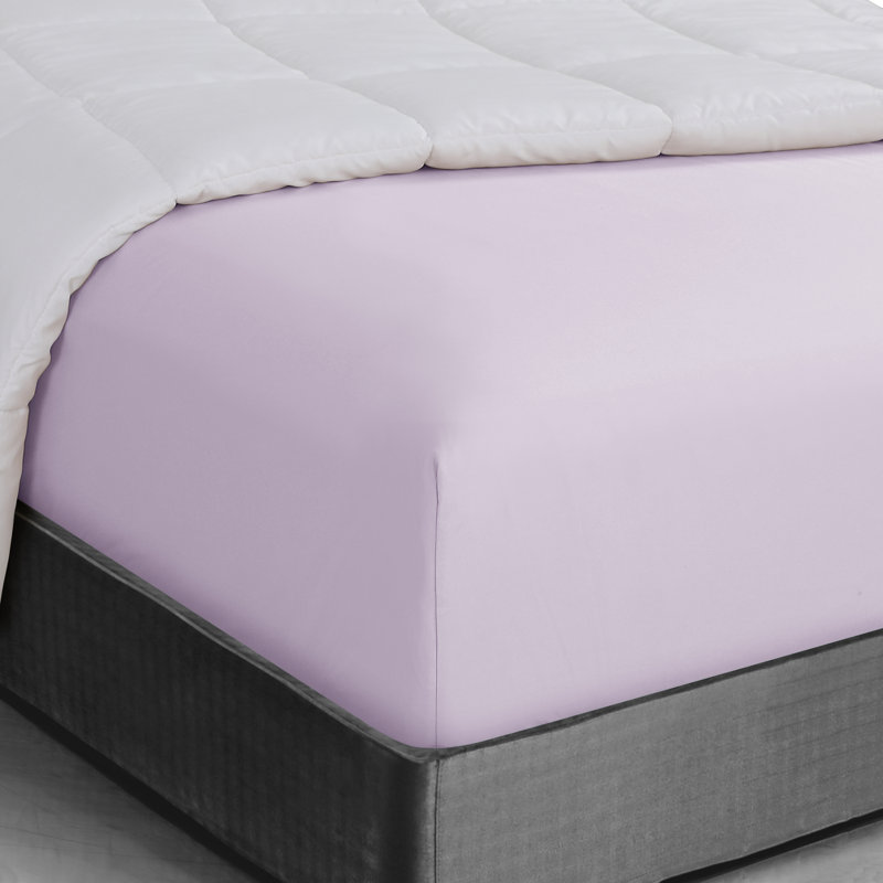 Wayfair Basics® 1800 Series Soft Microfiber Fitted Sheet, Queen Fitted Sheet, Lavender