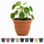 Pot à fleurs intérieur / extérieur Traditional-927975554-927975567