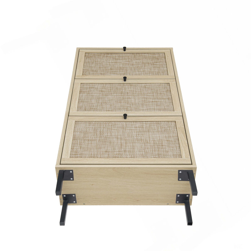 Étagère à chaussures en rotin 3 portes, armoire de rangement pour chaussures moderne autoportante, pour vestibule, Naturel