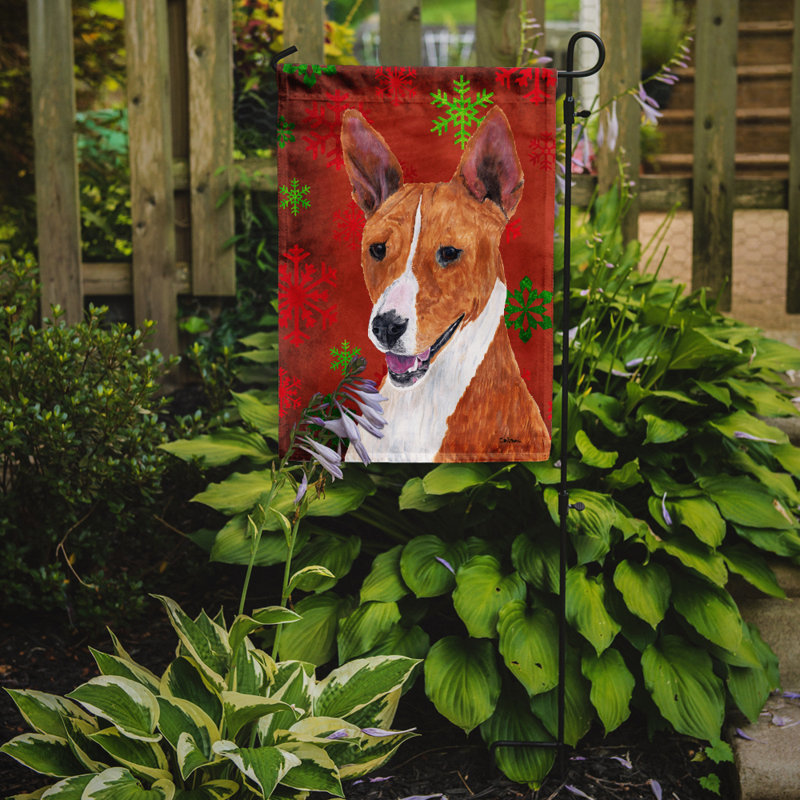 Drapeau rouge et vert Vart, Basenji (brun et blanc)