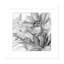 Seaglass Garden II - noir et blanc-1673455543-1673455540