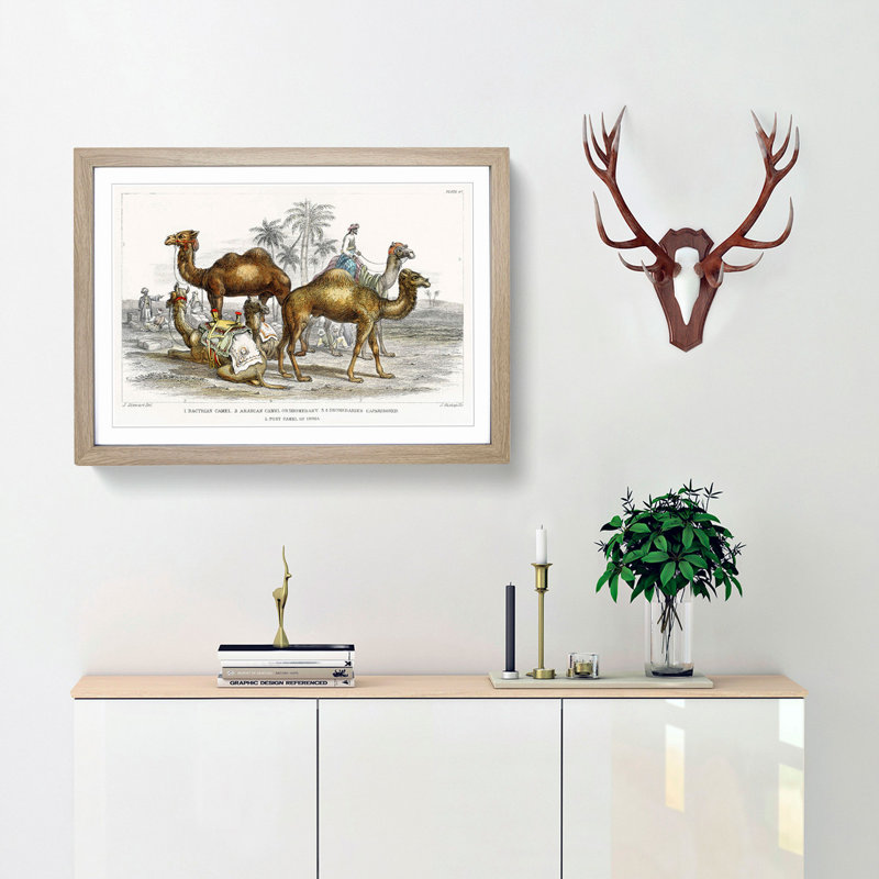 Camels by Oliver Goldsmith - Picture Frame Painting Print, Oak Framed, 48cm H x 65cm W x 2cm D