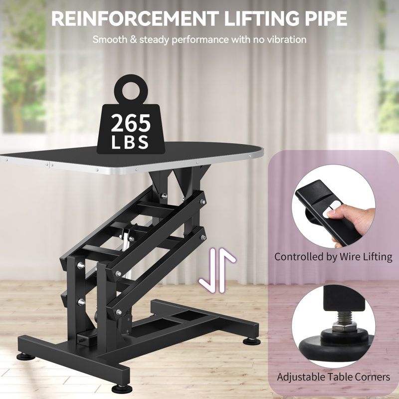 Table de toilettage électrique pour chien l 39 po