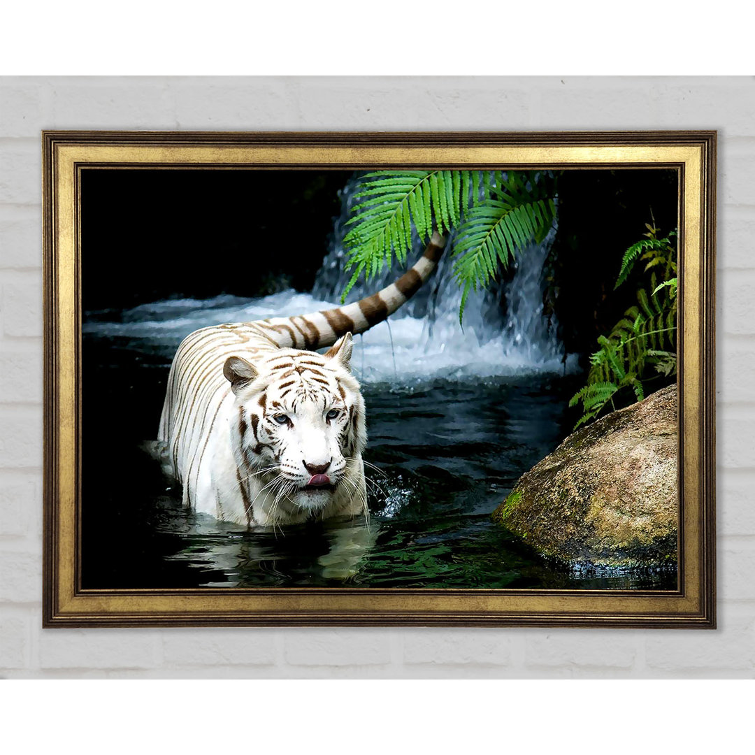 White Tiger Beautiful - Druck