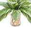 Rockwood Faux Cordyline Plant in Glass Vase