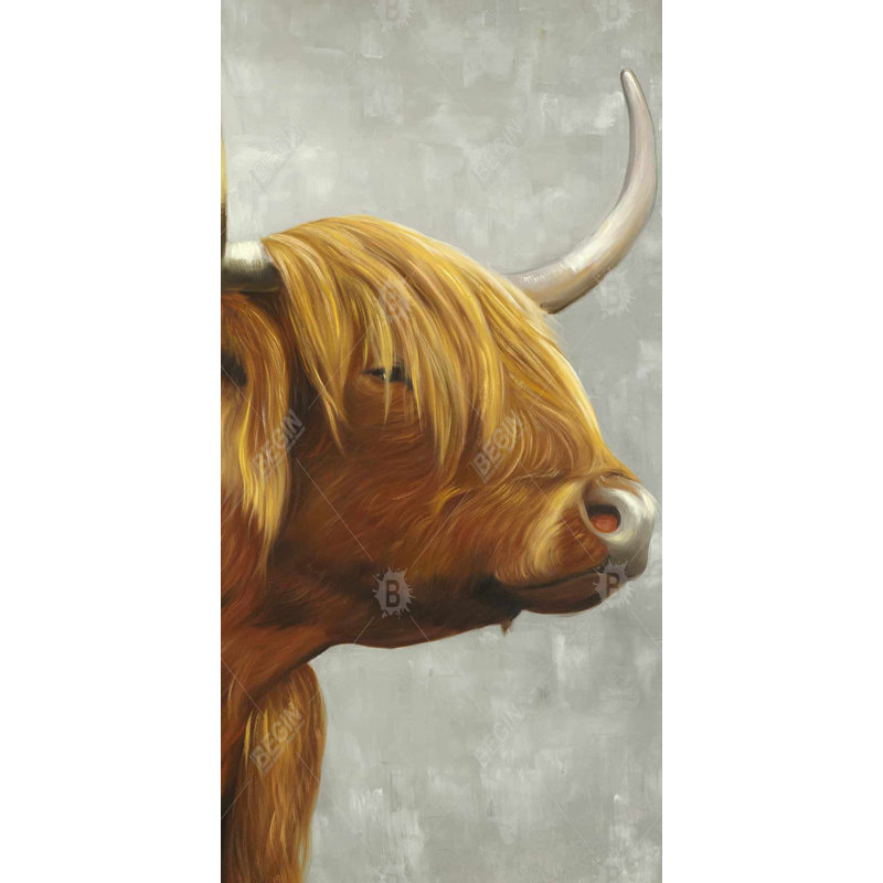 Beautiful Highland Cattle - Rustic Gray Canvas Home Decor