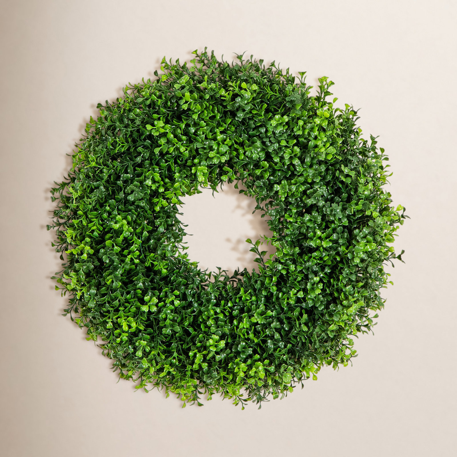 Charlton Home® 18" Pre-Lit Boxwood Wreath, Green