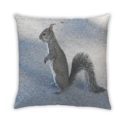 Coussin Squirrel 19