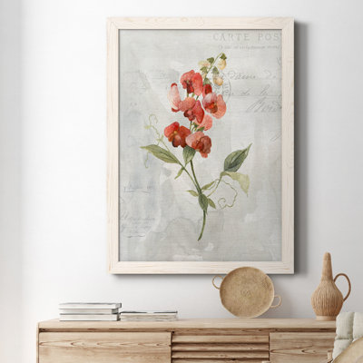 " Linen Sweet Pea " Painting Print