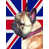Bouledogue français 1