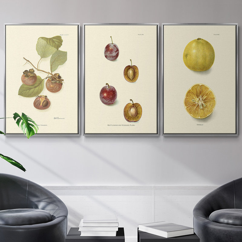Persimmon II - ensemble de 3 reproductions sur toile, H 36 po x l 72 po, Argent