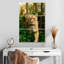 Lionne de chasse Brampt-108543858