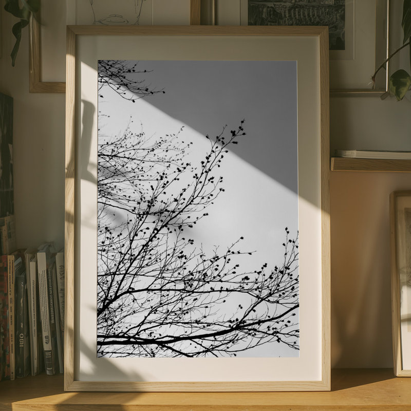 Wrapped Canvas Print, 76.2 cm H x 50.8 cm W