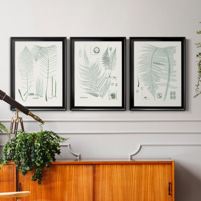 Verdure Ferns VII - ensemble de 3 reproductions d'art sur toile