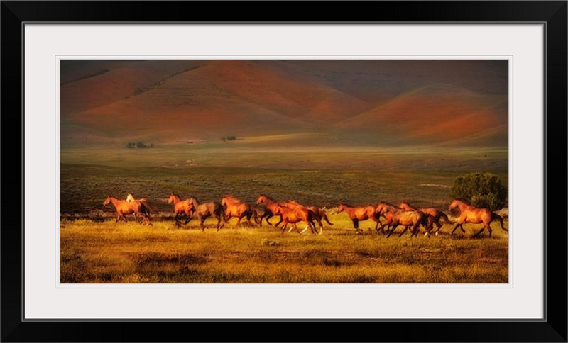 "Kemani Montana Dreaming" Lisa Dearing, reproduction de photo, H 20 po x l 32 po x P 1 po, Cadre blanc