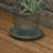 Round Glazed Ceramic Flower Pot Saucer Set of 2 - Fits 7" Planters - Gray-875224825-875224824