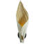 Xavier Clarisse Embossed Leather Wall Sconce-349651391-349651376