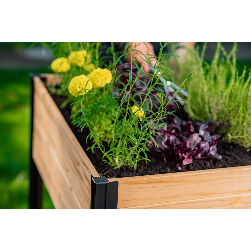 Mezza 42" Cedar Raised Herb Garden Bed with Black Aluminum Posts