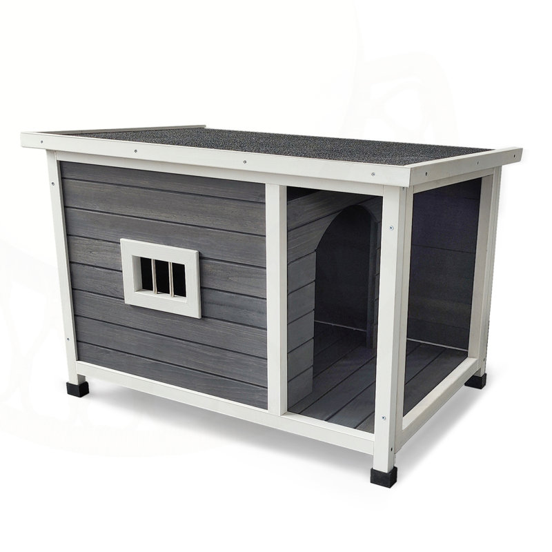 Outstanding Outdoor Dog Kennel with Multiple Functionalities for Medium-sized Dogs