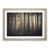 Oak Framed selected