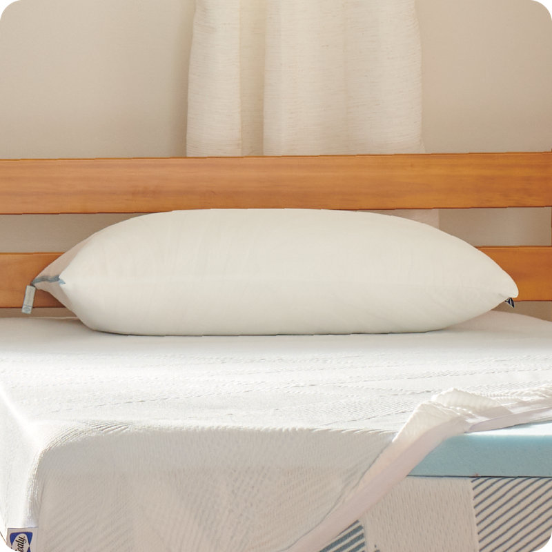 Sealy Dreamlife Standard White Shredded Memory Foam Pillow