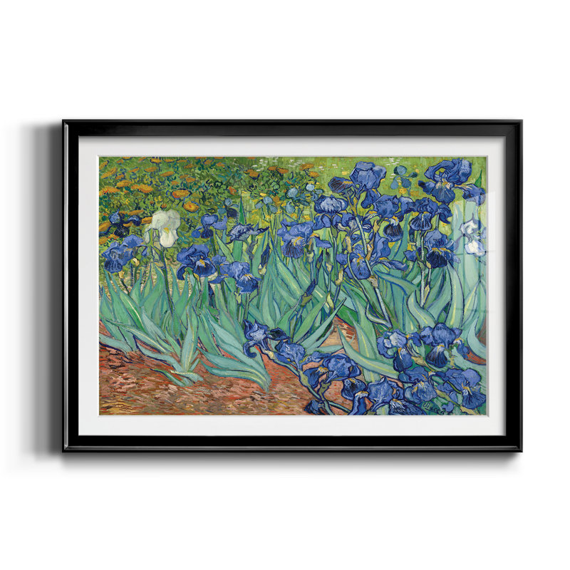 Iris - Cadre photo, reproduction d'art sur papier, H 22,5 po x l 30,5 po x P 1,5 po, Noir