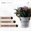 18cm Flowering Plant-102835264