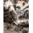 Arends Floral Indoor Rug-606454281