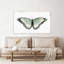 "Vintage Flutter III" par Tava Studios, reproduction sur toile-1865497619