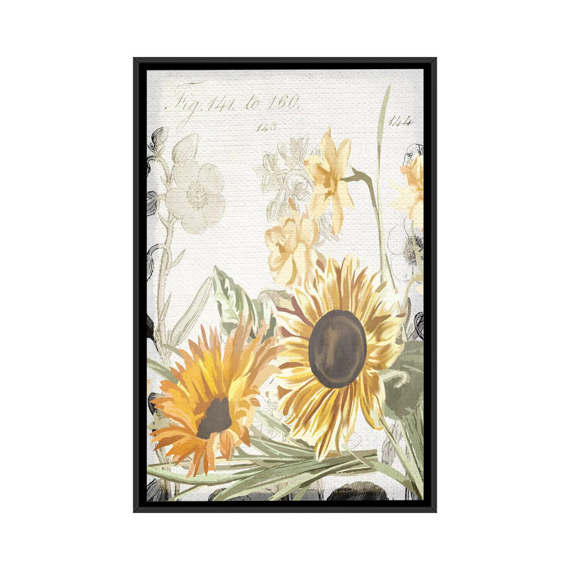 Wildflower Guide II by Kimberly Allen - Painting on Canvas, Black Framed, 66.04 cm H x 45.72 cm W
