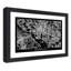 Washington Dc City Map - Single Picture Frame Print-839635563-839635477