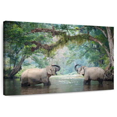 Brampt Bathing Elephants