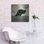 «Black Dog Swim» par Ryan Fowler