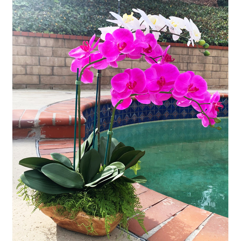 Orchidées florales, Blanc / Rose, H 26 po x l 12 po x P 12 po
